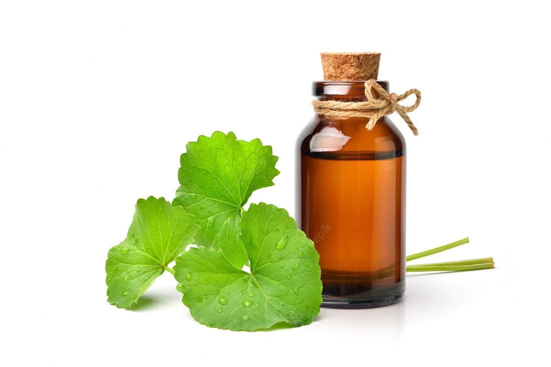 CENTELLA ASIATICA EXTRACT